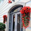 OrchidBloom 1+1 FREE - Artificial Orchid Flowers for Every Occasion