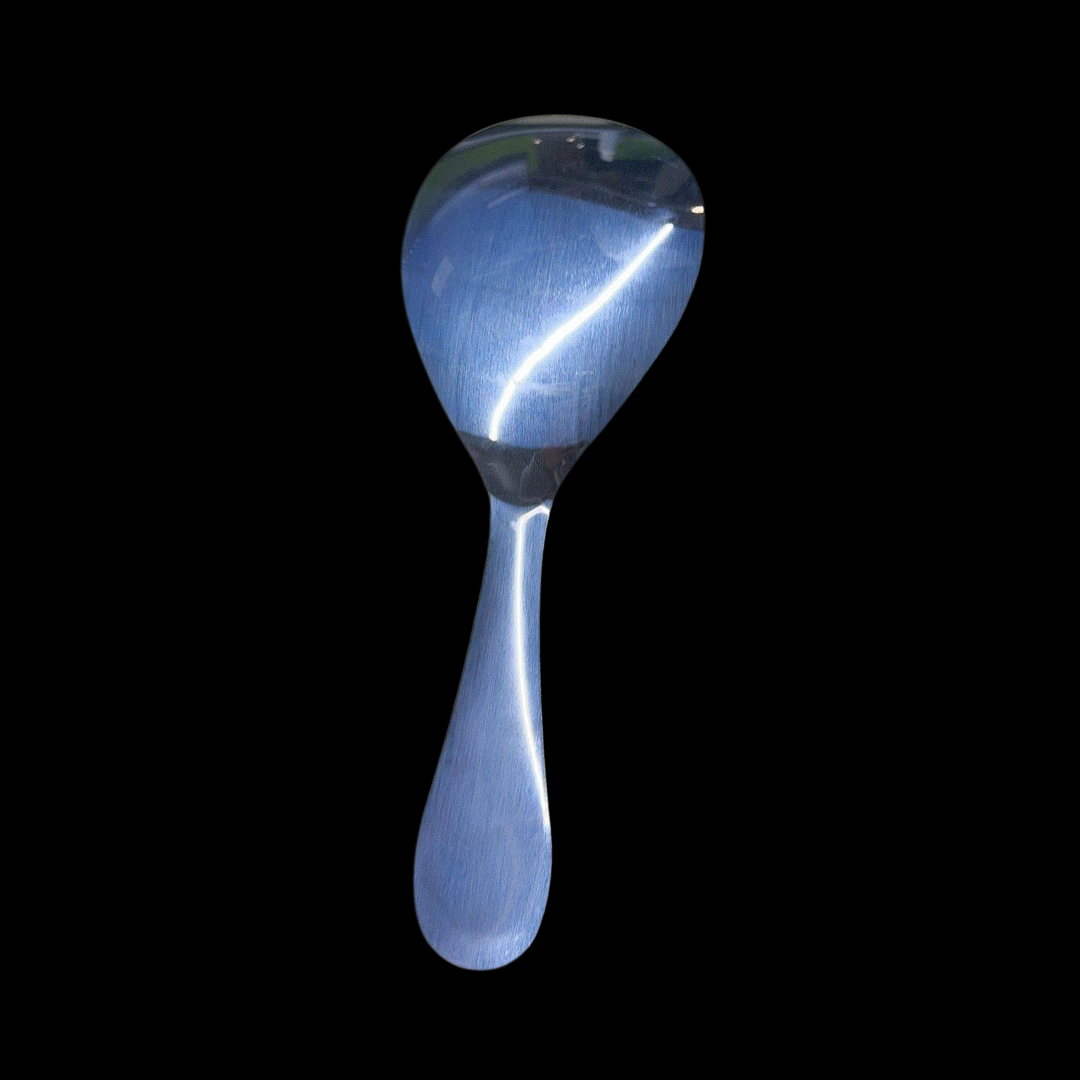 Globetrek° RiceSpoon - Non Stick Stainless Steel Rice Serving Spoon