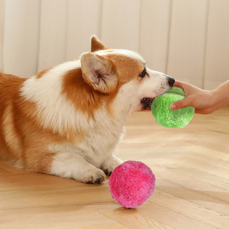 DogFri™ ActiveBall - Anti-Anxiety Automatic Rolling Ball
