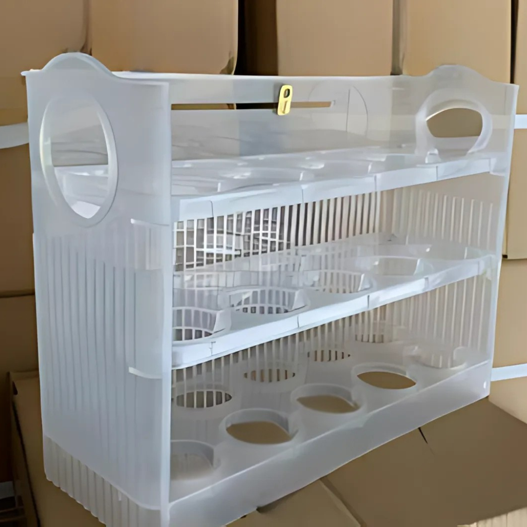 EggBox - Three Layers Self Rebound Egg Storage Box